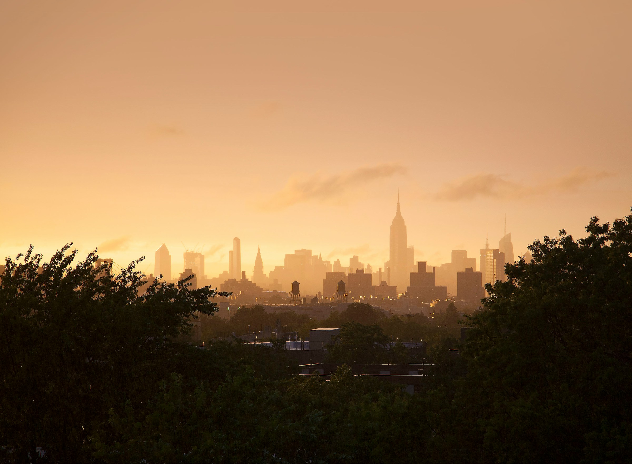 2026 background img 3