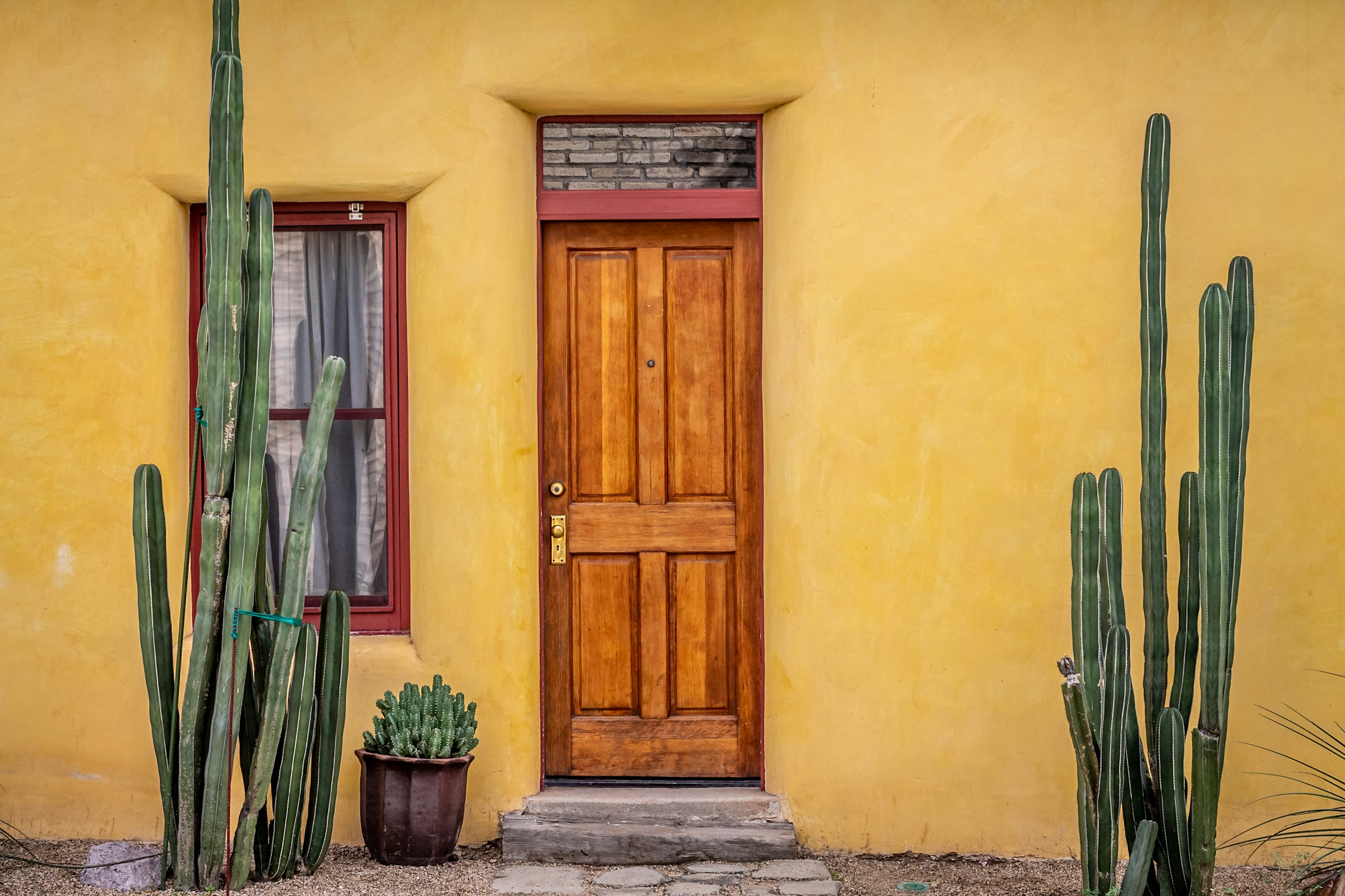 cinco de-mayo background img 1