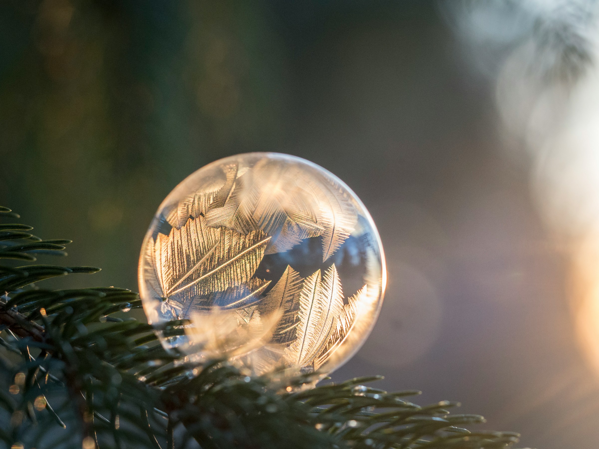 christmas background img 5