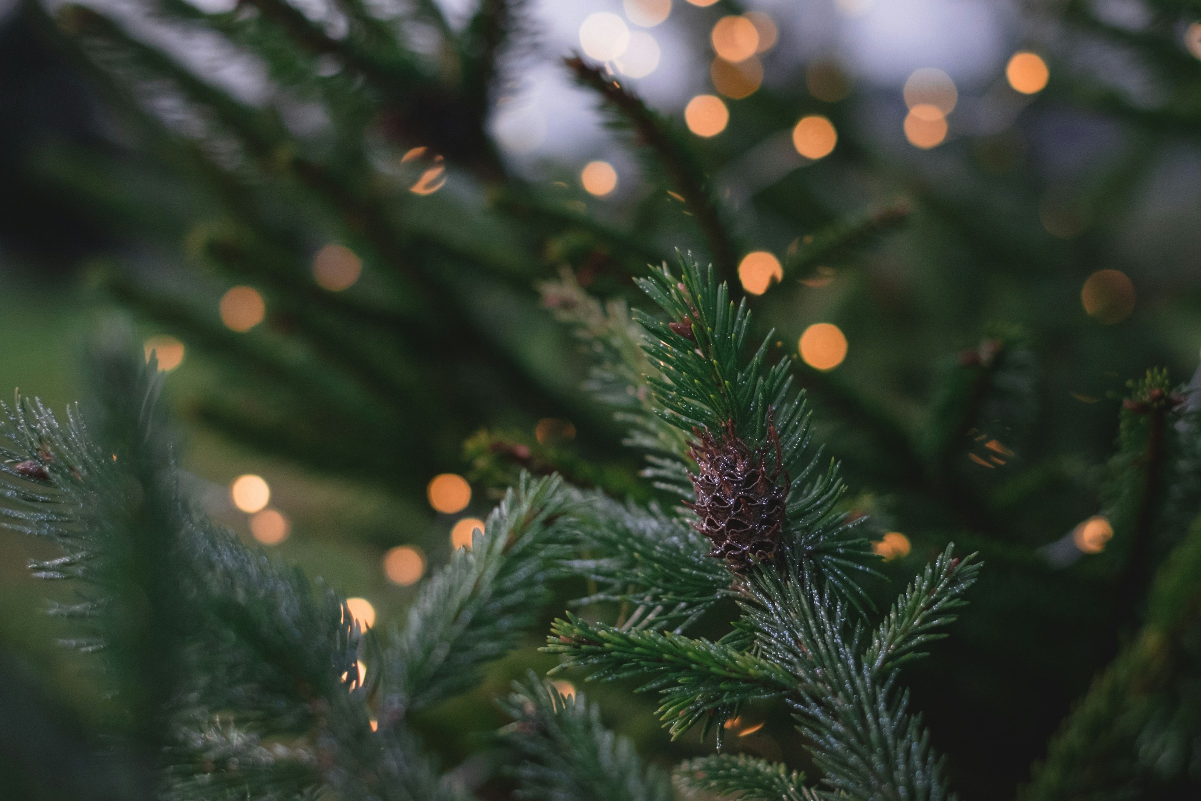 christmas background img 8