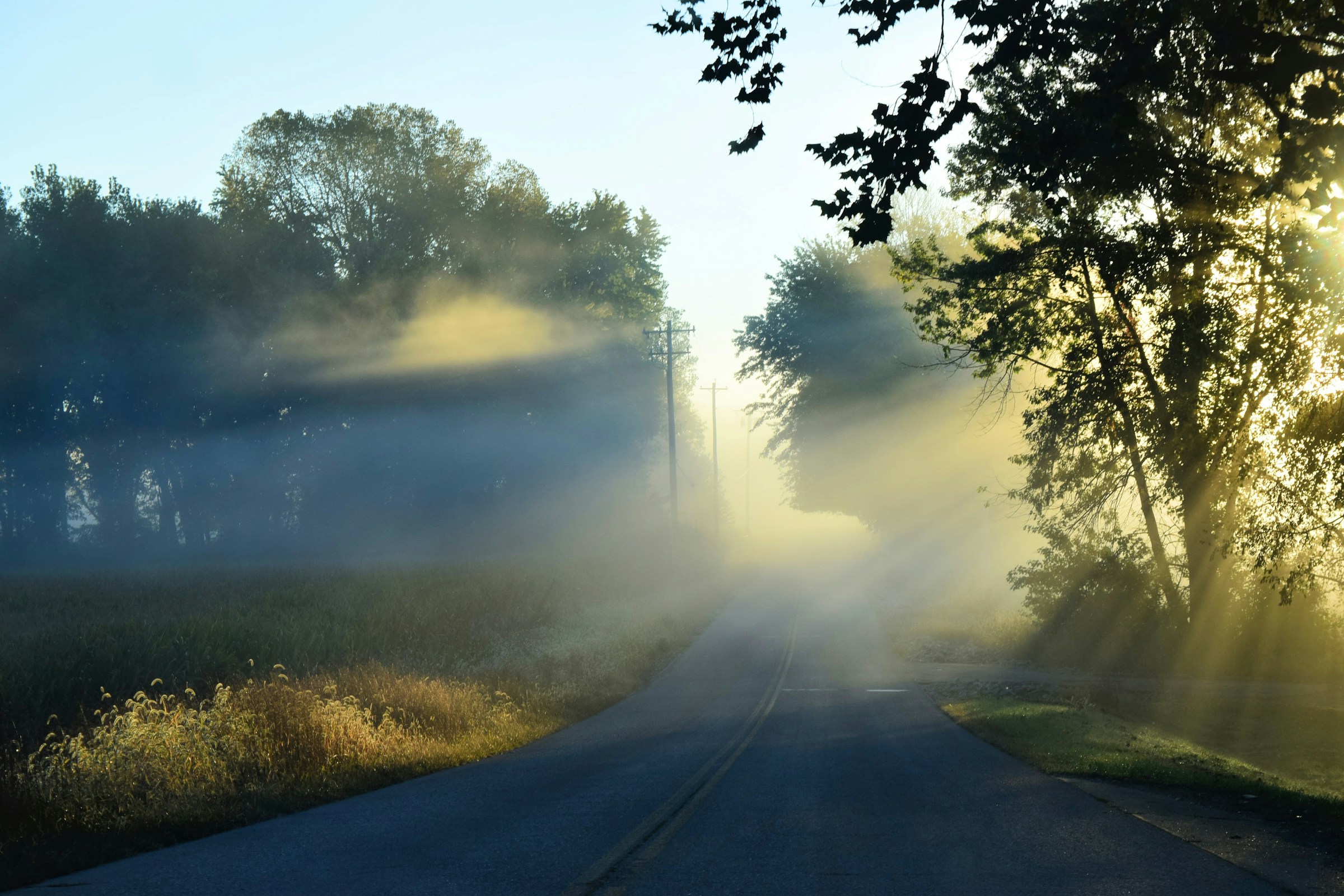 easter monday background img 2